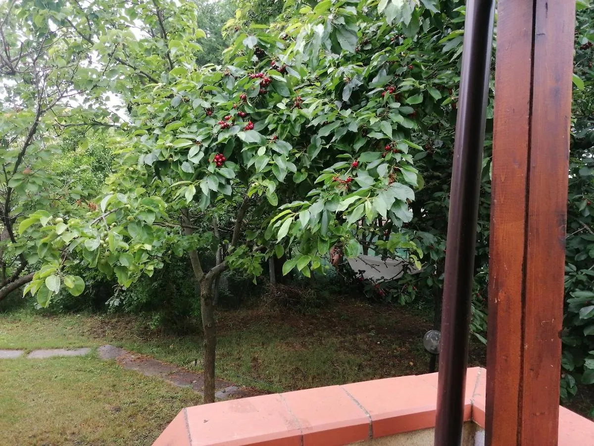 Casa Delle Rose Appartamento Gelsomino San Mauro Pascoli Ιταλία