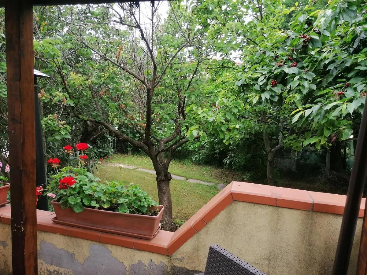 Casa Delle Rose Appartamento Gelsomino San Mauro Pascoli Διαμέρισμα